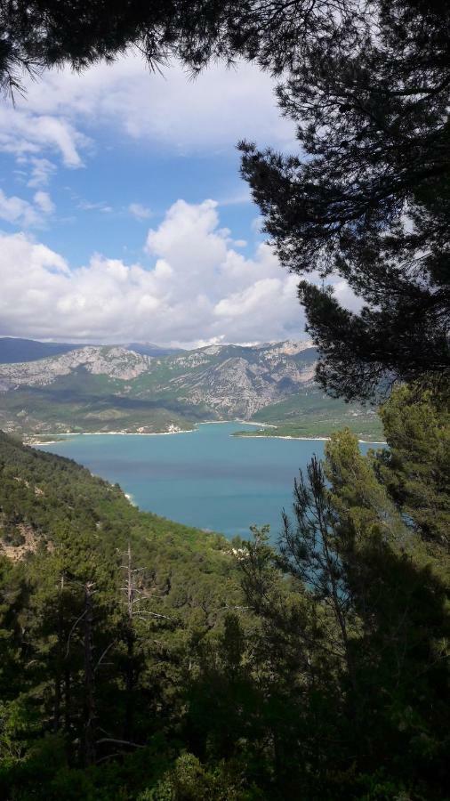 Hotel Les Deux Lions Riez Εξωτερικό φωτογραφία